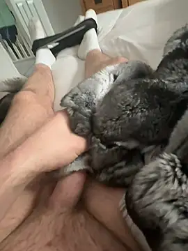 Furdale online show from April 15, 2026, 10:10 am