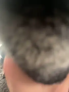 Furdale online show from February 22, 2025, 4:40 pm