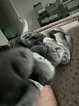 Furdale online show from February 9, 2026, 3:43 pm