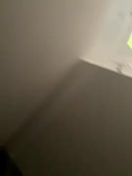 Furdale online show from September 10, 2025, 4:28 pm