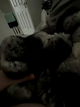 Furdale online show from November 27, 2025, 1:55 pm