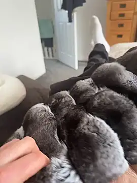 Furdale online show from April 7, 2026, 1:35 pm