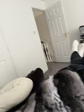 Furdale online show from March 18, 2026, 2:19 pm