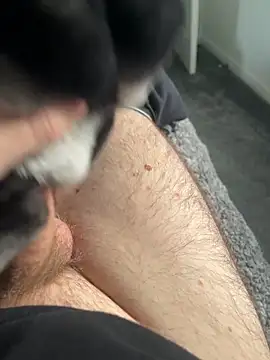 Furdale online show from January 16, 2025, 2:08 pm