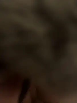 Furdale online show from January 24, 2025, 6:04 pm