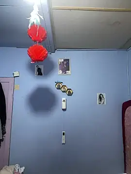 Sanieku online show from March 24, 2026, 2:39 pm