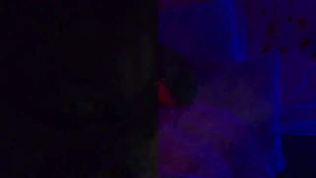 Snapshot of LuckyLefty79 chatting on October 22, 2025, 7:19 am LuckyLefty79 online show from October 22, 2025, 7:19 am