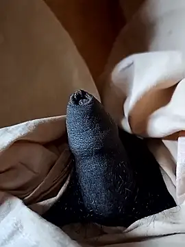 malluflash online show from January 12, 2026, 8:54 am