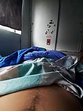 rodovlaz online show from November 26, 2025, 11:21 am