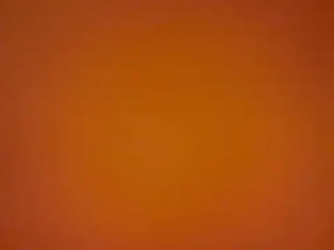 tattooed test online show from September 10, 2025, 11:53 am