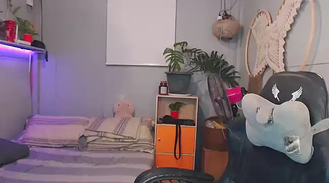 princeJayX online show from February 21, 2025, 12:27 am