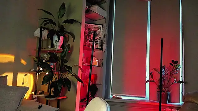 5 in one online show from December 17, 2024, 8:01 am