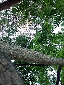 Keli Jessi online show from September 14, 2025, 1:22 pm