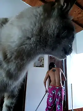 LunaZambrano online show from December 14, 2025, 3:06 pm