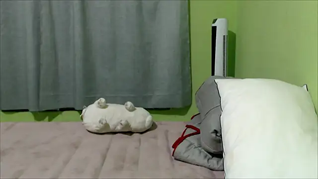 YummymeowW online show from December 14, 2024, 3:06 am