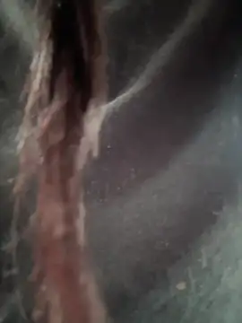   IRIS   online show from February 14, 2025, 4:31 pm