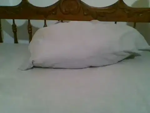 bbccol1 online show from March 17, 2025, 9:35 pm