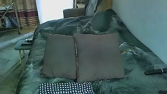 sex2 online show from November 4, 2025, 2:26 am