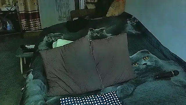 sex2 online show from September 29, 2025, 5:40 pm