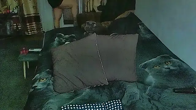 sex2 online show from April 13, 2026, 11:20 pm