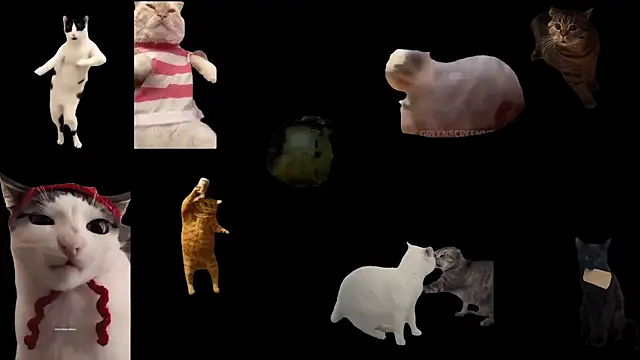 aberaaruba online show from October 30, 2025, 1:42 pm