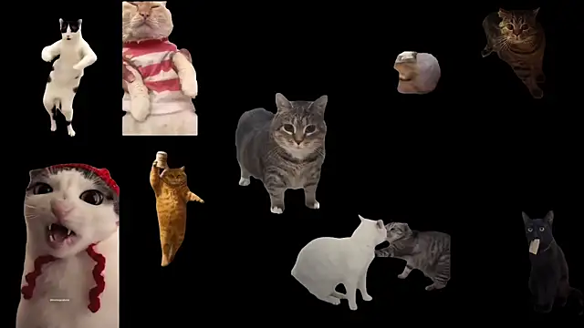 aberaaruba online show from November 24, 2025, 3:23 pm