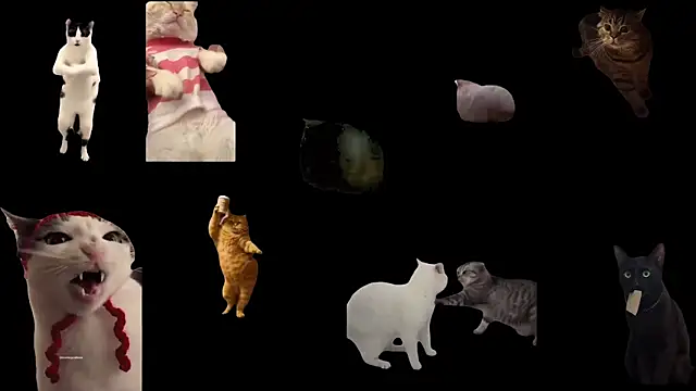 aberaaruba online show from October 23, 2025, 9:41 am