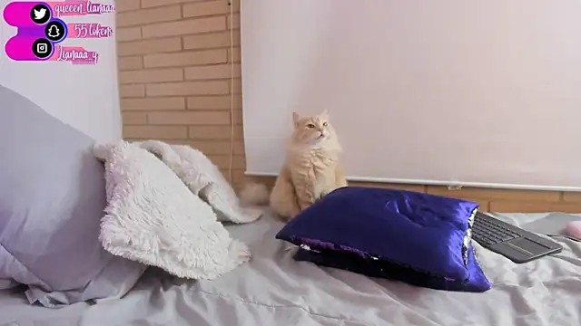 Queen liana online show from January 10, 2025, 8:29 am