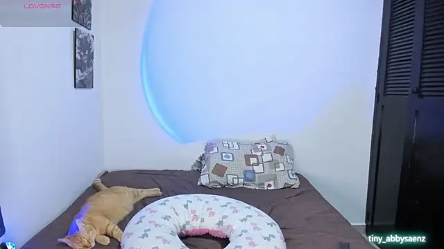 Abby Saenz01 online show from September 14, 2025, 12:22 am