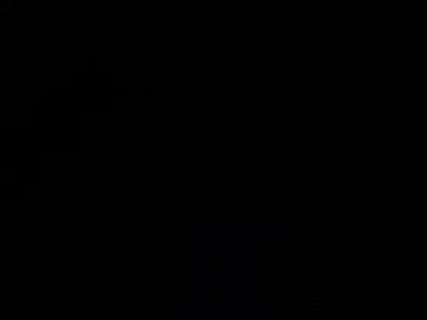 Snapshot of translove chatting on April 24, 2026, 5:20 am translove online show from April 24, 2026, 5:20 am