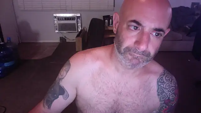 palidin1 online show from April 22, 2026, 5:36 am