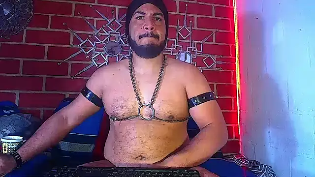 the master foal  online show from March 19, 2025, 12:12 pm