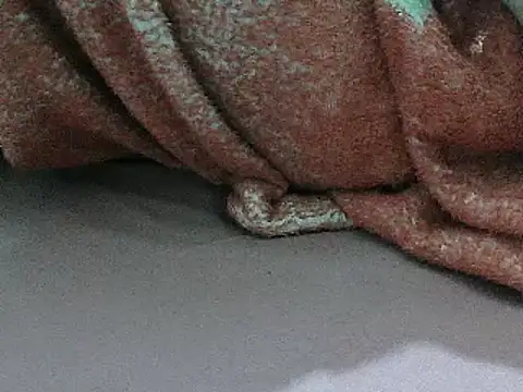 FUN4TIPS online show from March 2, 2025, 5:09 pm