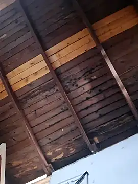 Checho2022S online show from November 30, 2025, 7:03 pm