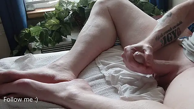 American Dad online show from September 25, 2025, 8:37 pm