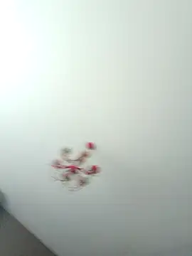 ClubbyEuphory online show from February 5, 2026, 1:40 pm