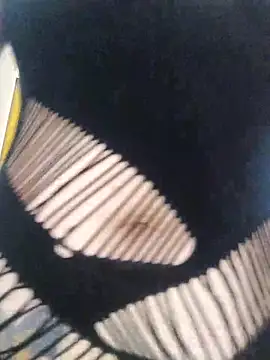 Snapshot of WinterMelon88 chatting on October 1, 2025, 4:28 am WinterMelon88 online show from October 1, 2025, 4:28 am