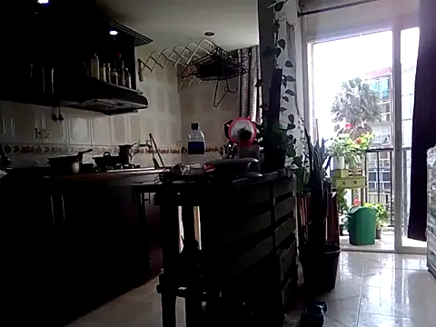 Diosasky online show from September 12, 2025, 1:55 pm