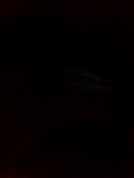 juandi21cm online show from January 11, 2026, 9:33 pm