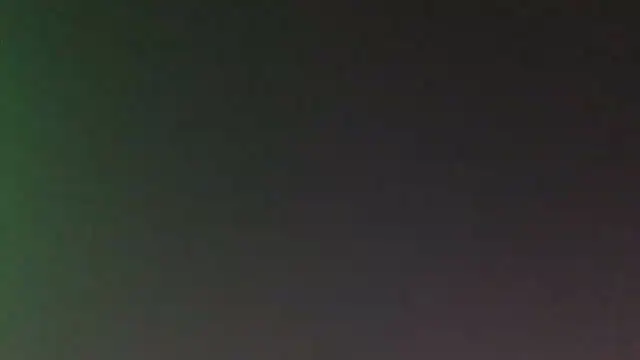 leccaleccafiga online show from March 6, 2026, 7:09 pm