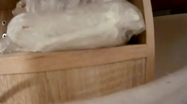 BeautifulPusssy online show from December 7, 2024, 4:59 am