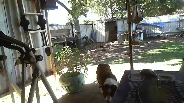 herbie010666 online show from September 25, 2025, 5:02 am