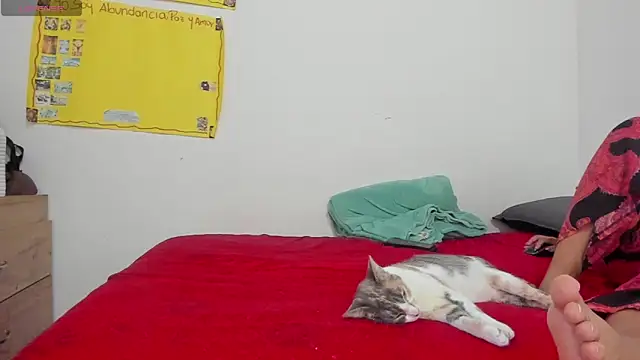 Hela wet online show from November 24, 2025, 5:35 pm