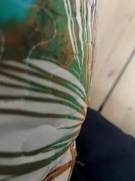 ROBOSTALLION online show from April 2, 2026, 12:01 pm