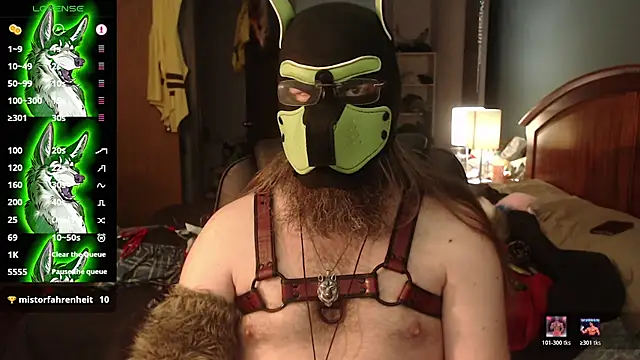 Snapshot of kinkywolf429 chatting on July 20, 2026, 3:47 pm kinkywolf429 online show from July 20, 2026, 3:47 pm