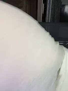 Zoya Varma004 online show from April 10, 2026, 2:02 pm