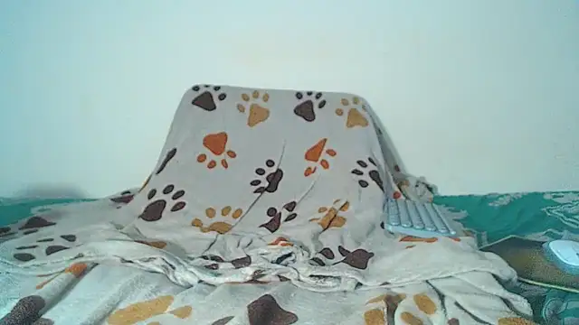 Snapshot of maihton_xx chatting on February 3, 2026, 6:40 am maihton xx online show from February 3, 2026, 6:40 am