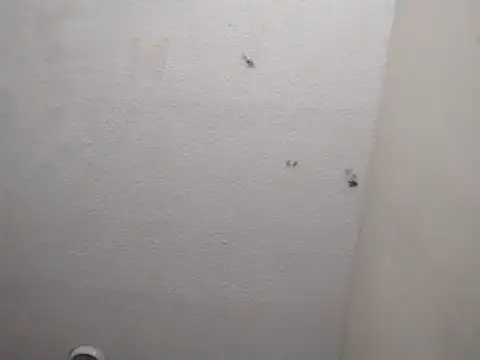 247Srokin online show from March 13, 2026, 7:24 am