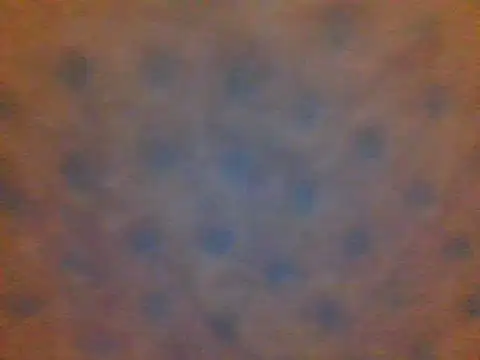 Snapshot of xsexy_on91 chatting on February 13, 2025, 8:34 pm xsexy on91 online show from February 13, 2025, 8:34 pm