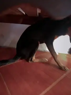 sweet morbid hot online show from November 26, 2025, 6:52 pm